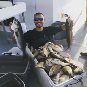 Meet your Posher, Derek